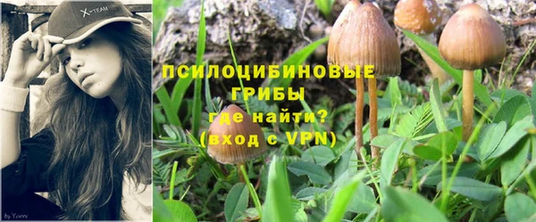 PSILOCYBIN Богданович